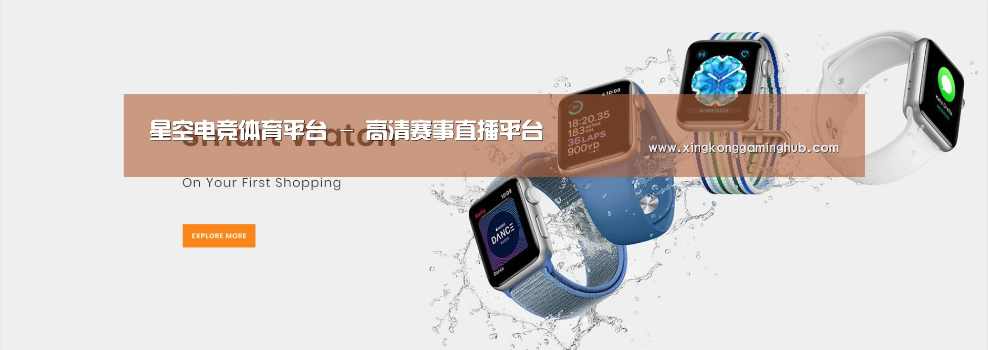 某某网络科技有限公司
