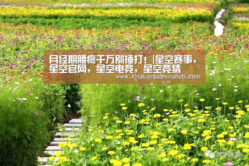 月经期腰疼千万别捶打!|星空赛事,星空官网,星空电竞,星空竞猜(图3) 星空赛事,星空官网,星空电竞,星空竞猜