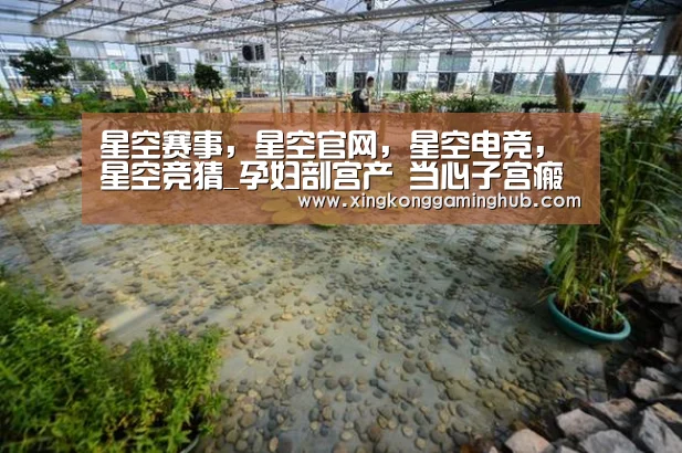 星空赛事，星空官网，星空电竞，星空竞猜